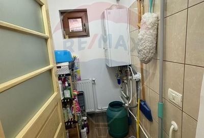 Casă / Vilă nouă cu 5 camere + casă bătranească renovată - 21