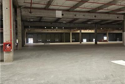 Spatiu Industrial - 9500 mp - Logistica - Productie - Depozitare - Distributie - 6