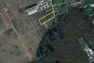 Teren Construcții intravilan de 27580 mp, în Băneasa