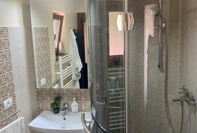 Casa individuala cu 4 camere de vanzare in zona Girocului - 36