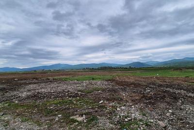 Teren intravilan 1450 mp – Carpiniș , Ideal pentru casă de locuit - 11