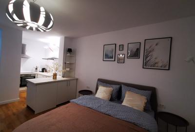 Apartament 1 camera Bulevardul Take Ionescu / Medicina ! - 13