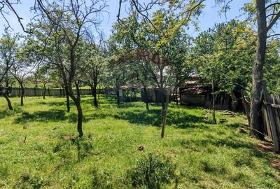 Tere cu constructie de vanzare in Urlati - 10