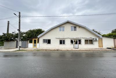 Casa P+1 din BCA ideala pentru o familie antreprenoare â Pecineaga - 16