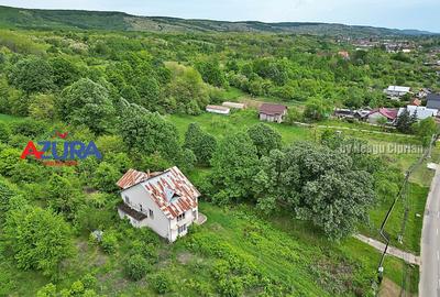 AZURA Imobiliare - Budeasa, Teren 5.069 mp, Casa BONUS - 11
