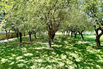 Proprietate Exceptionala cu Potential Dublu in Valea Ursului, Arges - 18
