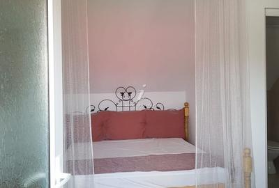 23 August - Pensiune 10 camere afacere la cheie - 13