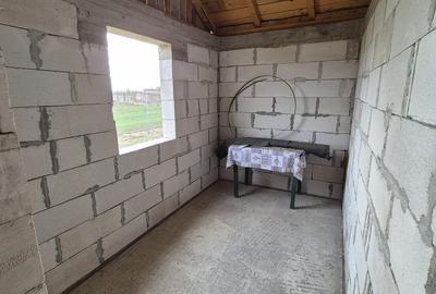 Caciulati, vanzare casa 3 camere la rosu, 400mp. teren - 18