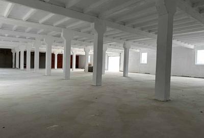 Hala industriala 500 mp Arad, zonă în dezvoltare, disponibila imediat! - 4