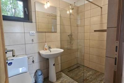Casă cu 5 camere de închiriat Corbeanca - 14