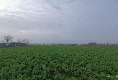 Teren pretabil Investitie in Comuna Daieni Bratul Macin Dunarea Veche Ostrov - 2