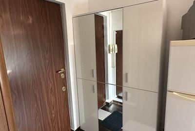 Apartament 2 camere mobilat | Bd.Timisoara - 3