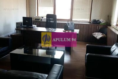 Vila zona Fundeni-Dobroiesti - 9