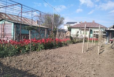 Casa  la curte Oltenita - 4