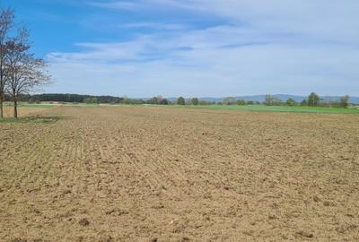 TEREN AGRICOL EXTRAVILAN - RECI - COVASNA - 2