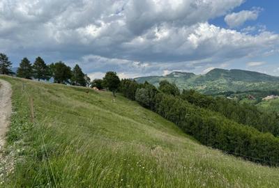 Teren inconjurat de natura de vanzare in Pestera - 3