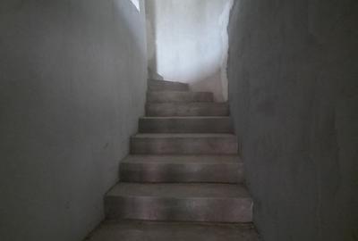 Casa de vanzare,340 mp,7 camere, Alexandru cel Bun Neamt (Bistrita), Cod 158919 - 21