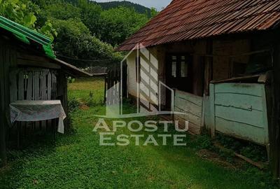 Casa batraneasca de vanzare, 4 camere, in Hunedoara, sat Micanesti - 14
