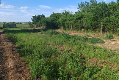 VANZARE CASA INDIVIDUALA - 20