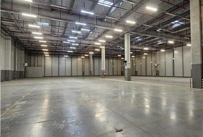 Spatiu Industrial - 3000 mp - Logistica - Productie - Depozitare - 16