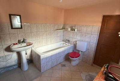 Casa de vanzare Zona Arcasilor P+M - 13