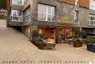 APARTAMENT DE VACANTA | CONCEPT APART HOTEL | BUSTENI - 1