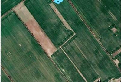 Vanzare 1000, 2000 sau 3000 mp teren intravilan in Buftea langa padure - 4