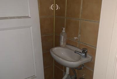 Dorobanti -Victoriei - 18