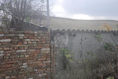 Teren 600mp. curs constructii, Utilitati, Palazu Mare, str.Spicului - 3