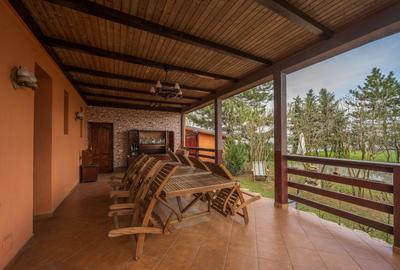 ADUNATII-COPACENI - APARTAMENT 135 MP, LOT 787 MP! - 12