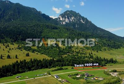 Teren intravilan Zarnesti Plaiul Foii - 6