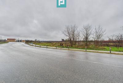 Teren intravilan de 4131 mp, în orașul Sebiș, Arad - 12