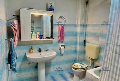 Proprietate Exceptionala cu Potential Dublu in Valea Ursului, Arges - 15