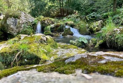 Casă de vacanță deosebită cu ciubăr si saună - natura si relaxare - 50