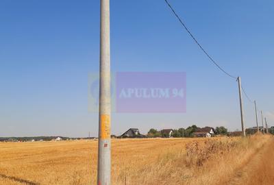 Teren pentru casă/case în Brănești pe strada Toporași - 21