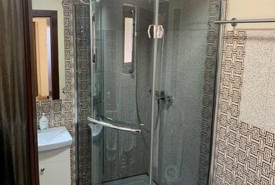 Casa individuala cu 4 camere de vanzare in zona Girocului - 40
