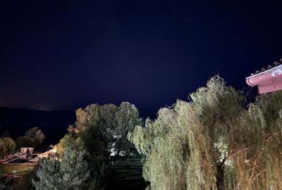 Hotel 25 camere 100 m deschidere DELTA DUNARII teren 12000 mp acces auto - 13