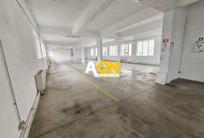 Spatiu industrial pentru productie sau depozitare, 1600 mp, Sebes - 11