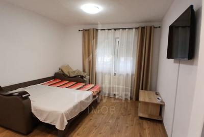 Apartament 3 camere | zona Terezian | Parter - 11