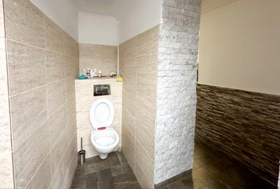 Casa cu teren langa Parcul Carol | 305 mp teren | Toate utilitatile - 20