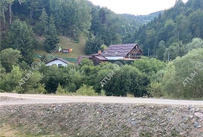 Pensiune cu 7 unitati de cazare in Apuseni judetul Alba - 5