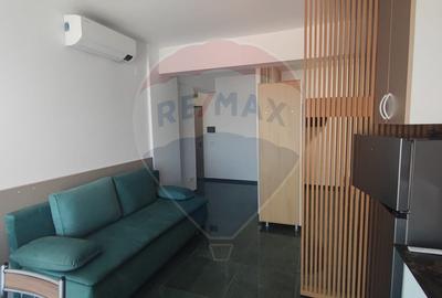 Apartament tip studio de vanzare Ultracentral Promenada Crisului - 4
