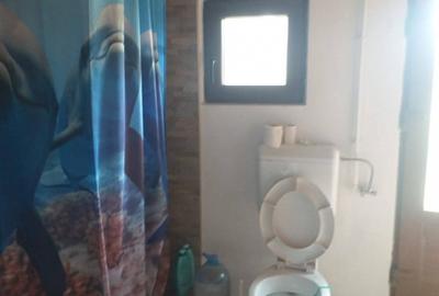 HORIA - 3 CAMERE ,SUPRAFATA 100 MP,TEREN 3000 MP CU DESCHIDERE LA LAC - 10