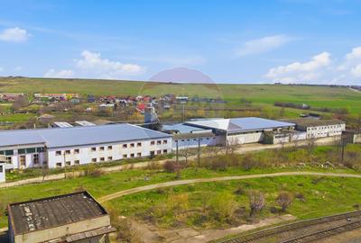 Spațiu industrial 4.4Ha Teren și 15.000mpc - Zona Industrială - Hârlău - 17