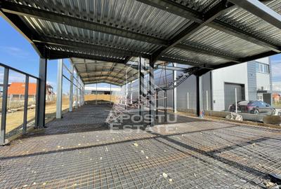 Hala + birouri, 590 mp, Giarmata - 1