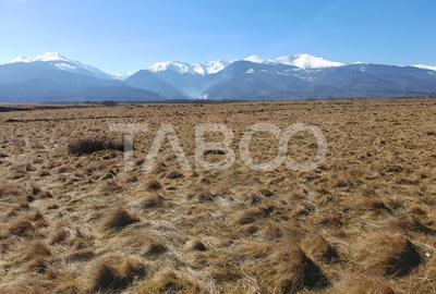 Teren agricol extravilan de 1000 mp, în Gura Văii