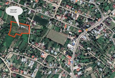 Teren Construcții intravilan de 7800 mp, în Vulturu