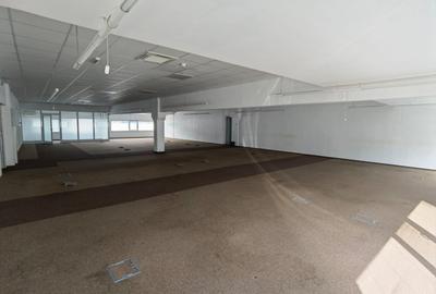 Spatii birouri/servicii - 28