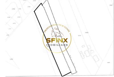 Ciolpani 6536mp teren intravilan DN1 - 1
