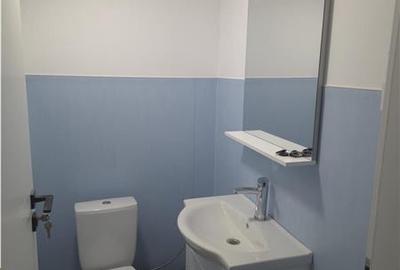Inchiriere depozit/hala/spatiu industrial Popesti Leordeni - soseaua Oltenitei - - 17